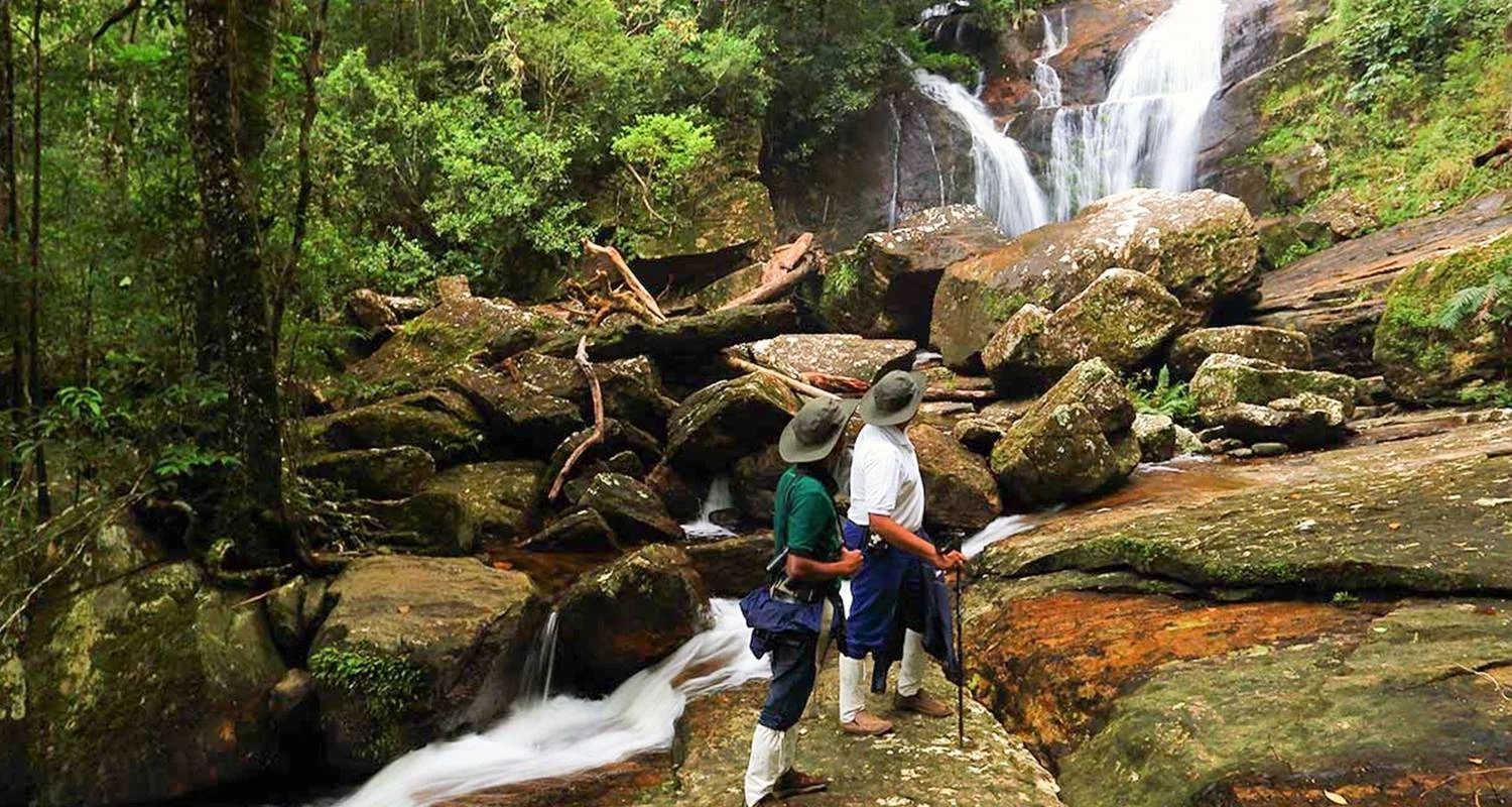 Explore 3-Day Different Discovery Private Wildlife Tour for 3 days with Beyond Escapes and discover unforgettable experiences - Photo 2