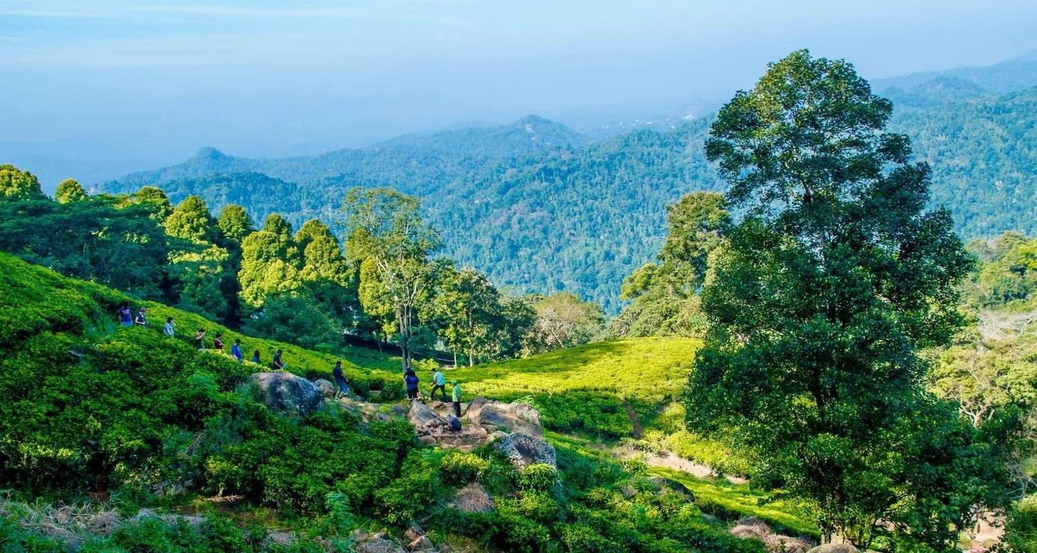 Explore Overnight All-Inclusive Tea Plantation Adventure in Kandy for 2 days with Beyond Escapes and discover unforgettable experiences - Photo 2