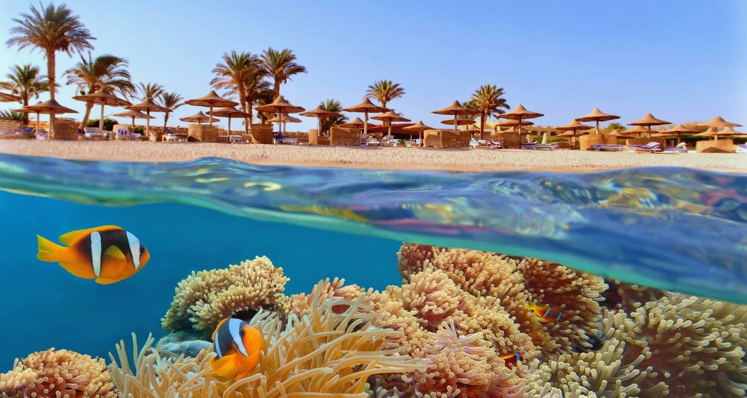 Explore 6 Days Cairo and Hurghada Tour Package for 6 days with Beyond The Nile Tours and discover unforgettable experiences - Photo 2