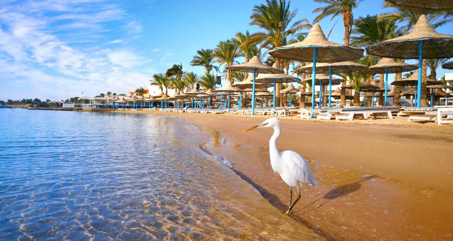 Explore 6 Days Cairo and Hurghada Budget holidays for 6 days with Beyond The Nile Tours and discover unforgettable experiences - Photo 2