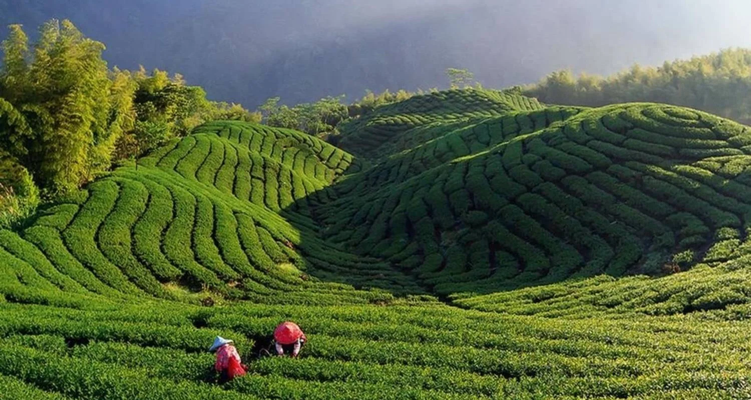 Explore 10 nights 11 days Sikkim-Bhutan-Nepal Group Tour 2024-2026 for 11 days with Bhutan Travel Gate and discover unforgettable experiences - Photo 2