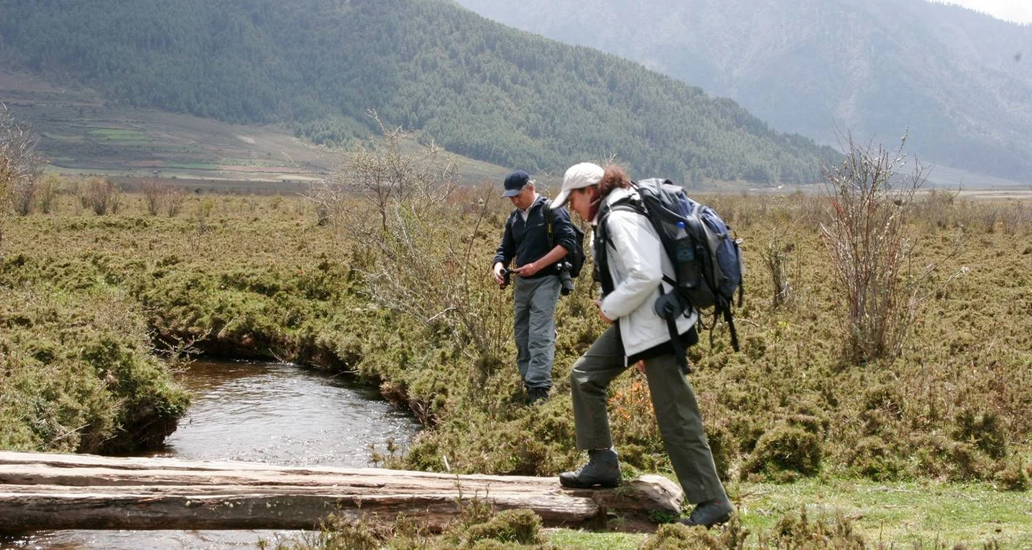 Explore Wonders of Bhutan With 3-Day Gangtey Nature Trek for 12 days with Bhutan Acorn Tours & Travel and discover unforgettable experiences - Photo 2