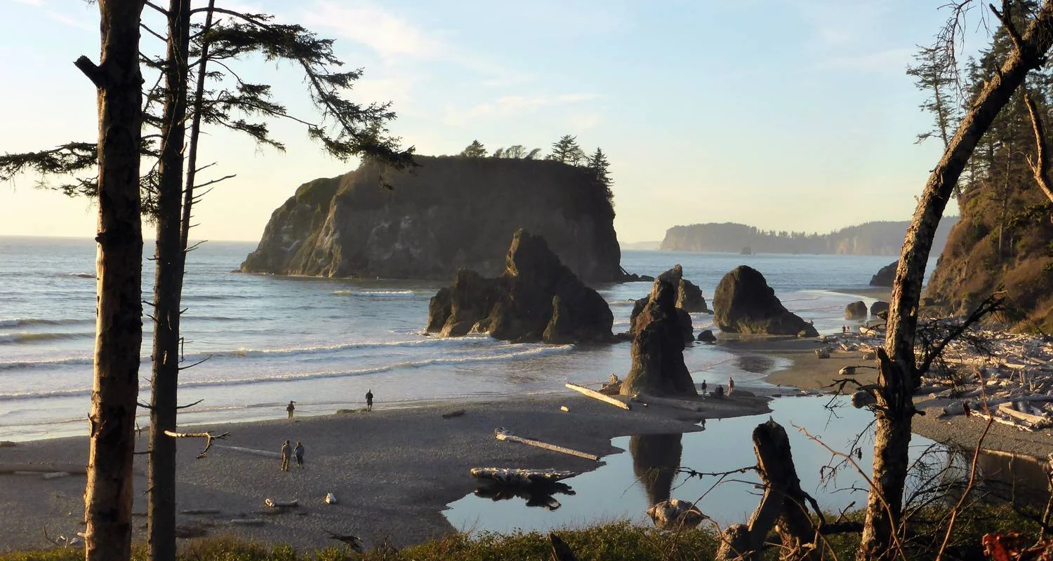 Explore Olympic National Park & Discovery Trail Bike Tour for 6 days with Bicycle Adventures and discover unforgettable experiences - Photo 2