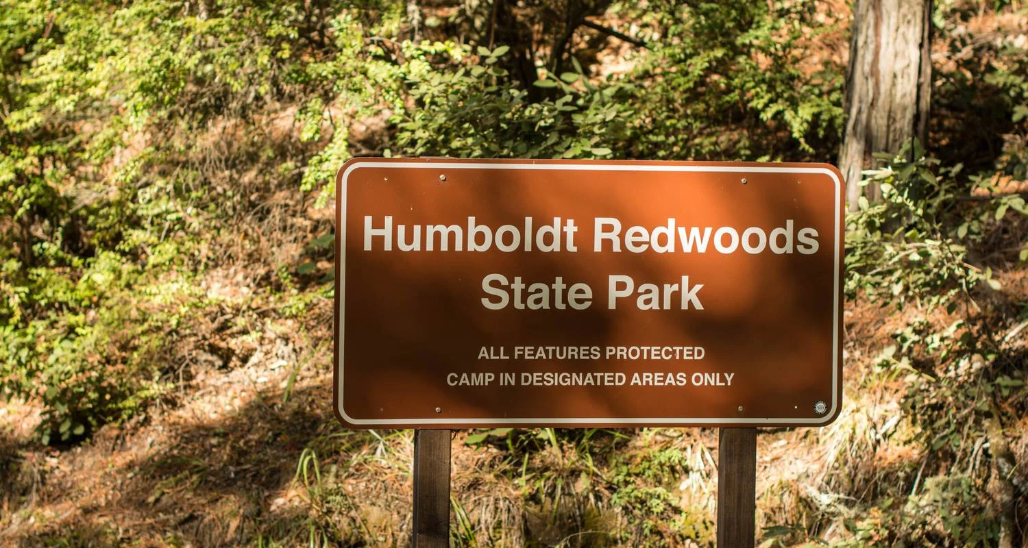 Explore Redwoods & Coast Multisport Tour for 6 days with Bicycle Adventures and discover unforgettable experiences - Photo 2