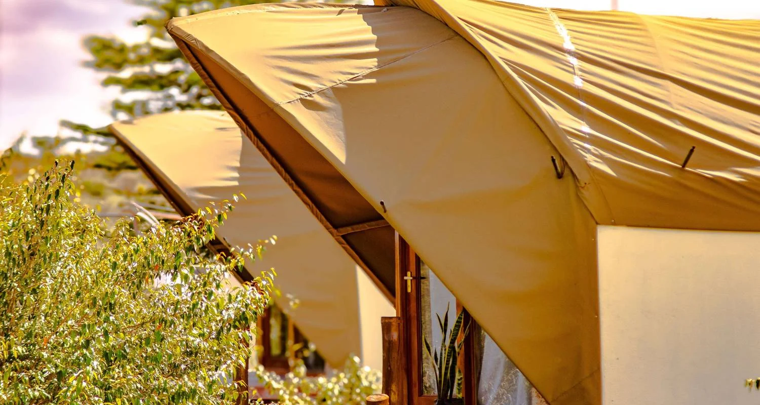 Explore Budget Accommodation in Masai Mara Safari 3 Days - Cheap Sandcastle Masai Mara Hotels Vacation for 3 days with Bonvoyage Kenya Safaris and discover unforgettable experiences - Photo 2