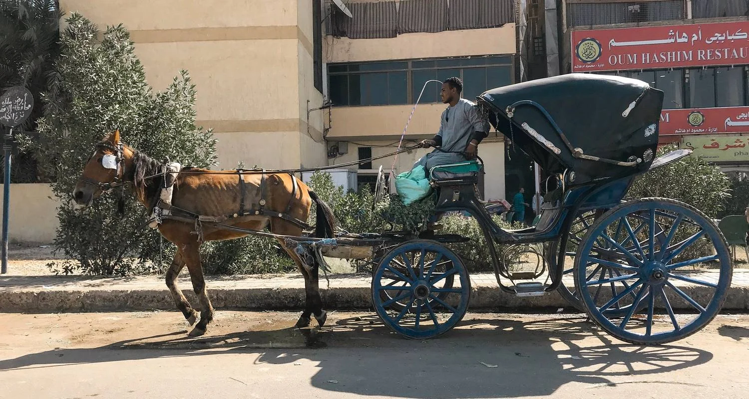 Explore Luxor City Tour By Horse Carriage for 1 days with Booking To Egypt and discover unforgettable experiences - Photo 2