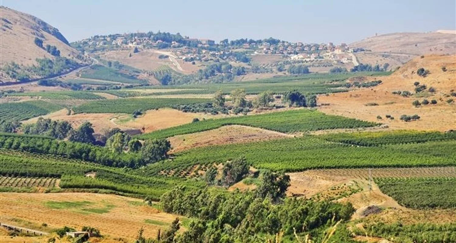 Explore 5 days in Israel for 5 days with Booking Tours and discover unforgettable experiences - Photo 2