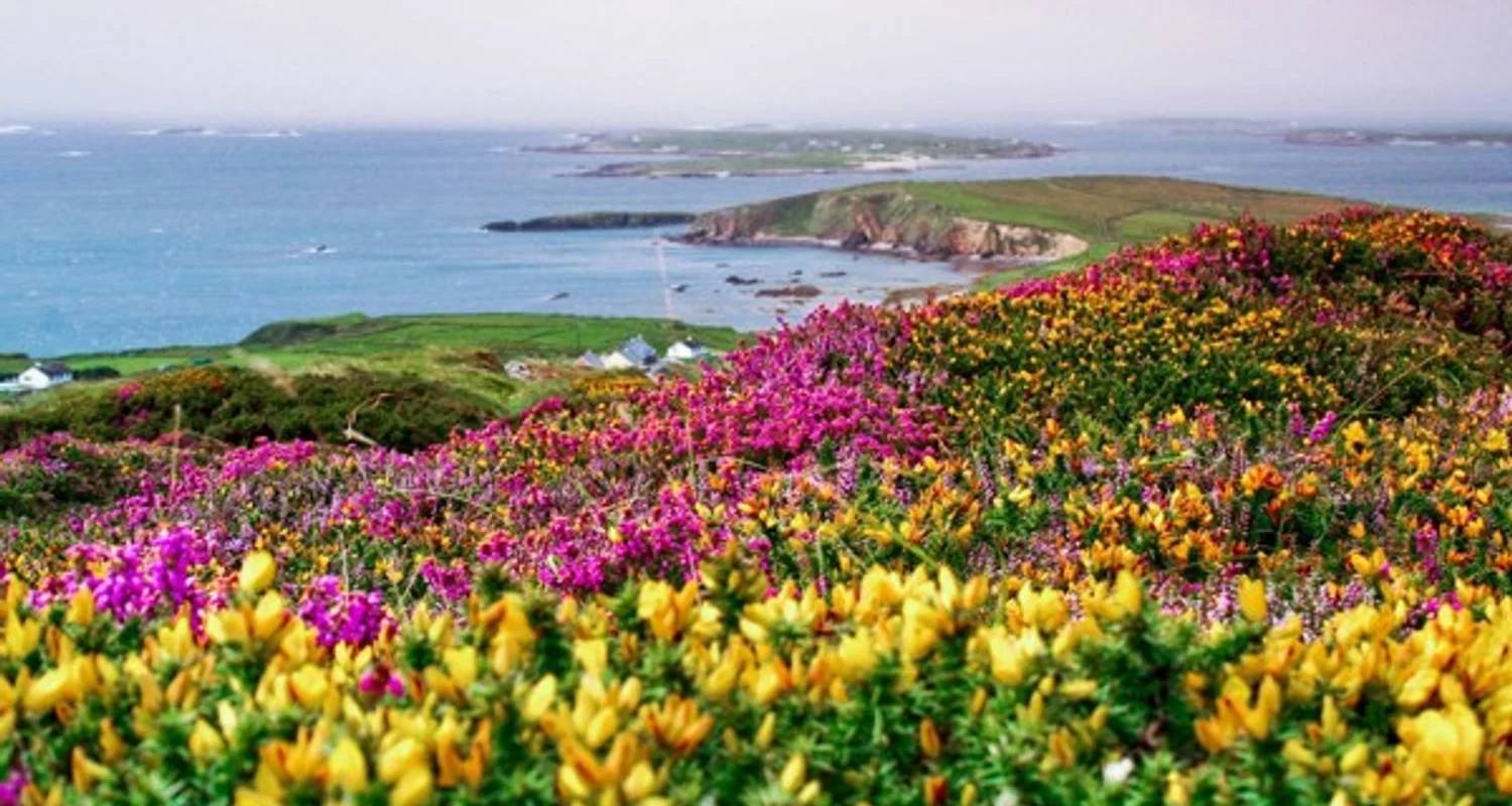 Explore Amazing Ireland for 14 days with Brendan Vacations and discover unforgettable experiences - Photo 2