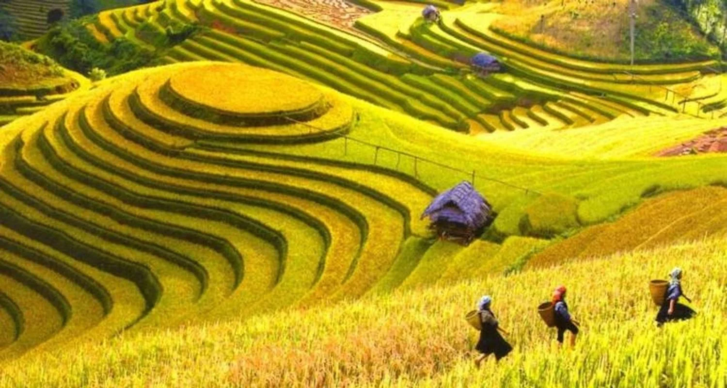 3 Days Sapa Trekking Tour with Overnight Train from Hanoi - 3 days with Bravo Indochina Tours - Photo 2 Explore 3 Days Sapa Trekking Tour with Overnight Train from Hanoi for 3 days with Bravo Indochina Tours and discover unforgettable experiences - Photo 2