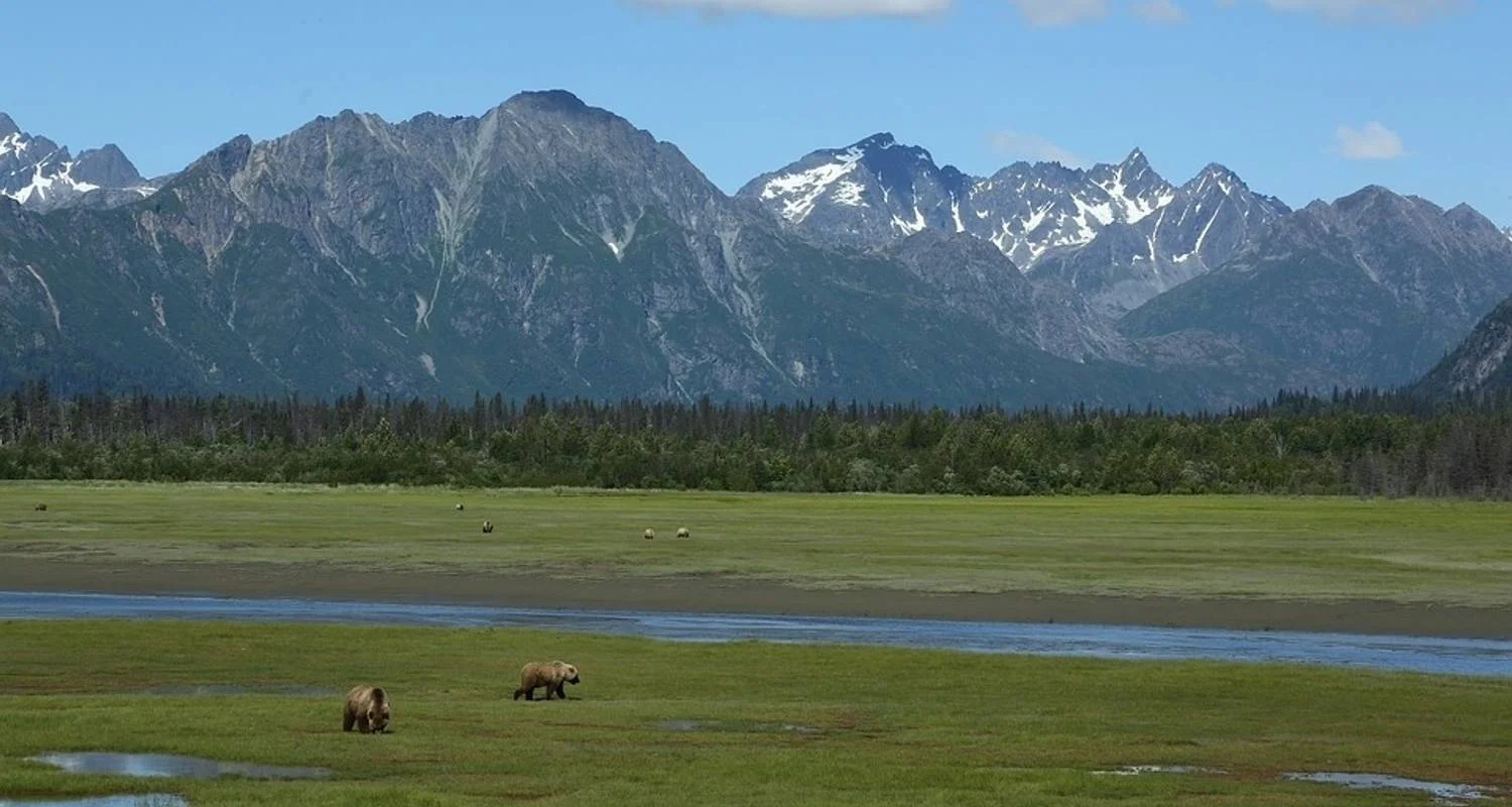 Explore Alaska: Ocean Wildlife to Interior Wilderness Adventure - 9 Days for 9 days with BrushBuck Wildlife Tours and discover unforgettable experiences - Photo 2