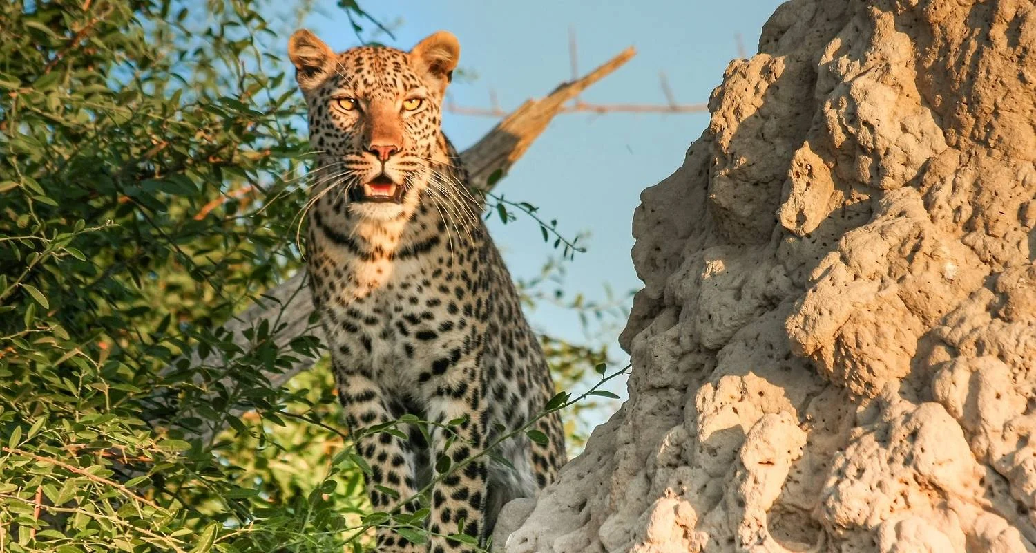 Explore Zimbabwe – 14 Days Highlights Victoria Falls Ruins Safari for 14 days with Bucket List Group Travel LLC and discover unforgettable experiences - Photo 2