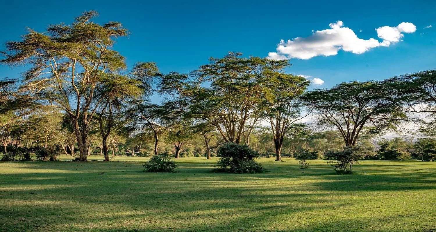 Explore Kenya – 9 Days Discovery Safari Adventure for 9 days with Bucket List Group Travel LLC and discover unforgettable experiences - Photo 2