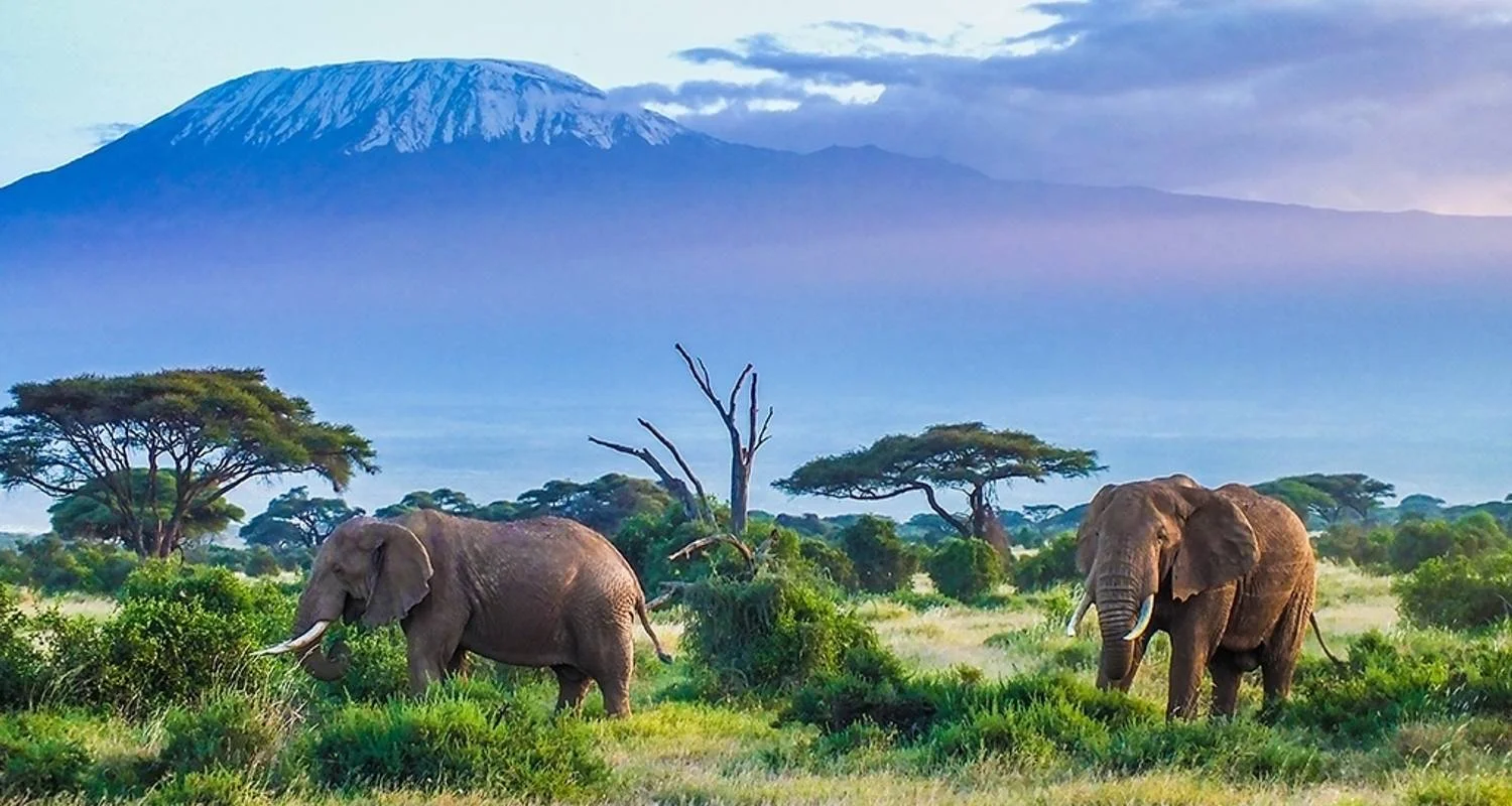 Explore TANZANIA – Serengeti Ngorongoro Safari with Zanzibar for 9 days with Bucket List Group Travel LLC and discover unforgettable experiences - Photo 2