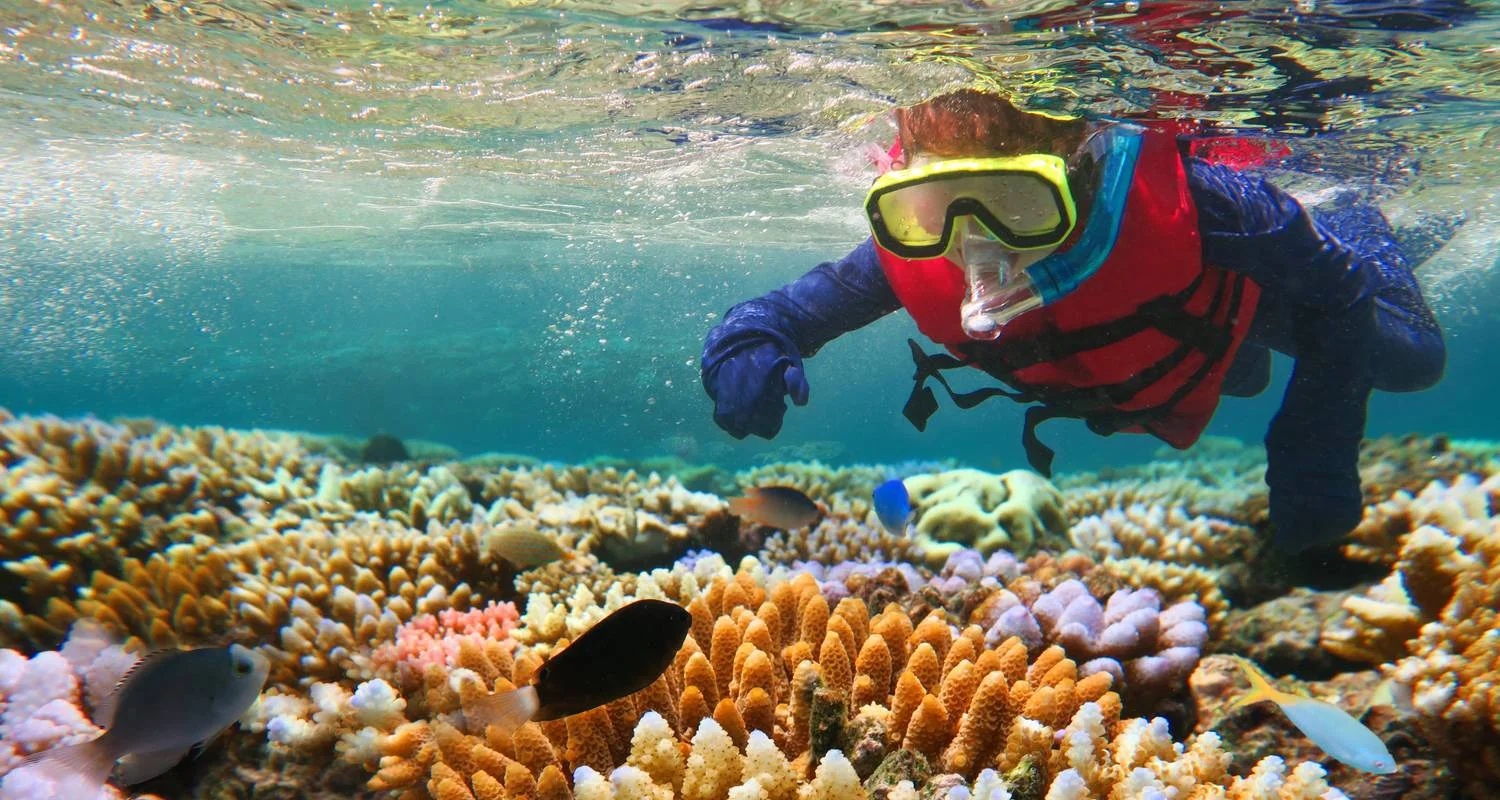 Explore AUSTRALIA – 9 Days Highlights Cairns Barrier Reef Sydney for 9 days with Bucket List Group Travel LLC and discover unforgettable experiences - Photo 2