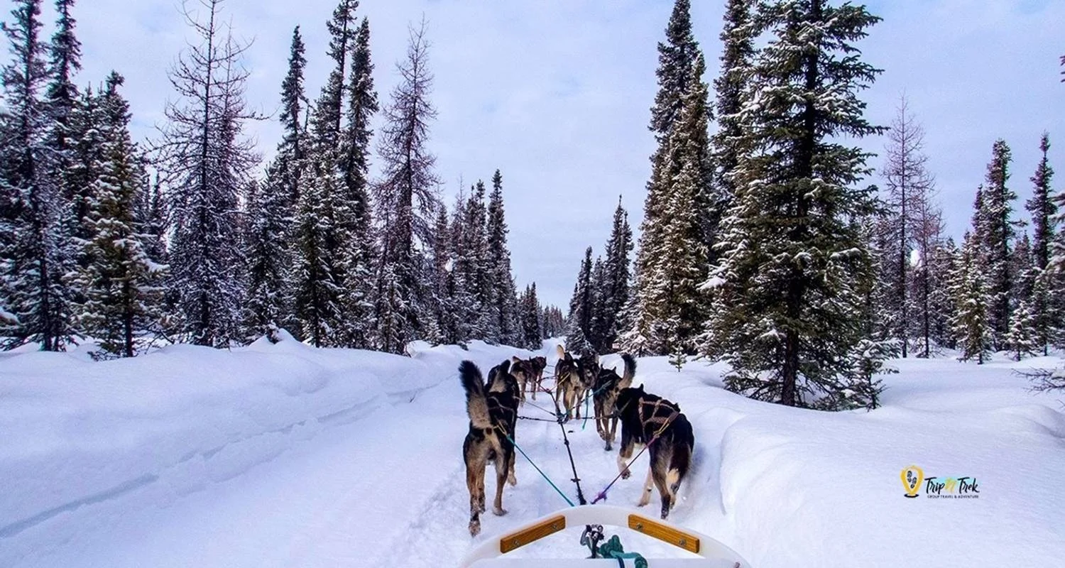 Explore USA – Alaska Northern Lights Winter Wonderland for 5 days with Bucket List Group Travel LLC and discover unforgettable experiences - Photo 2