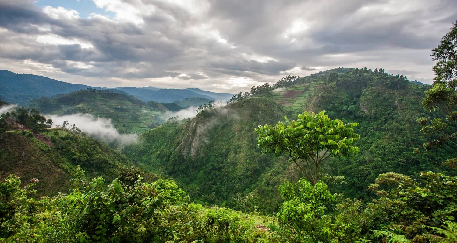 Explore UGANDA – 9 Days Murchison Falls, Big 5, Chimps & Gorillas Trekking for 9 days with Bucket List Group Travel LLC and discover unforgettable experiences - Photo 2