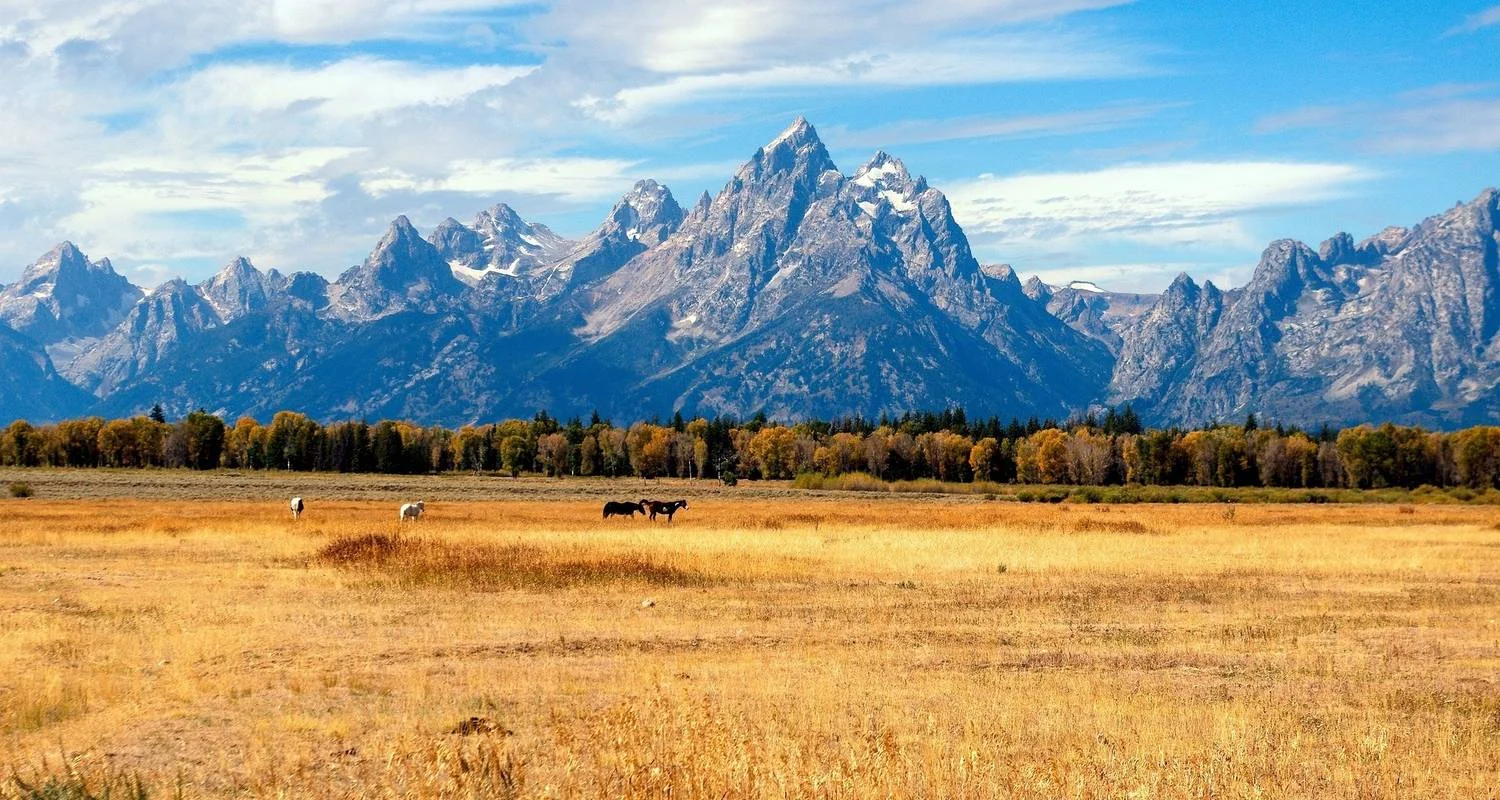 Explore USA – 6 Days Yellowstone Grand Tetons Adventure for 6 days with Bucket List Group Travel LLC and discover unforgettable experiences - Photo 2