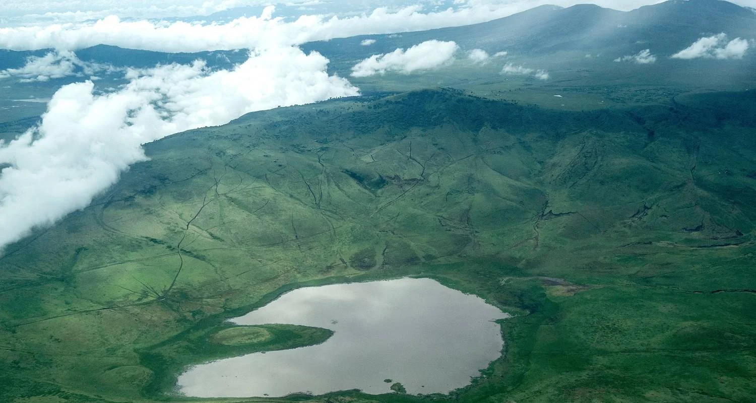 Explore 10 days Kenya and Tanzania medium range Safari 2025 for 10 days with CKC Tours & Travel and discover unforgettable experiences - Photo 2