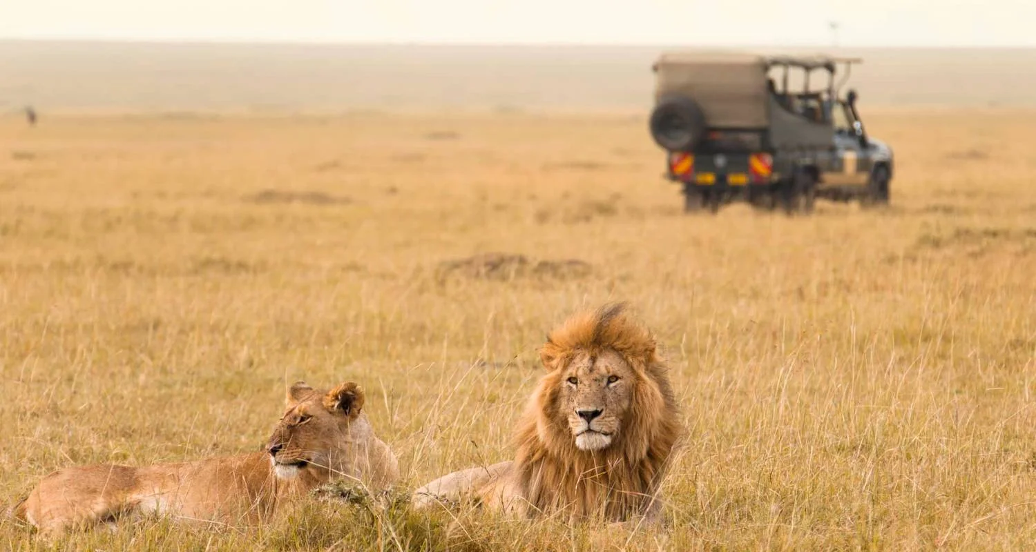 Explore 12 days Kenya and Tanzania High End Flying Safari 2025 for 12 days with CKC Tours & Travel and discover unforgettable experiences - Photo 2