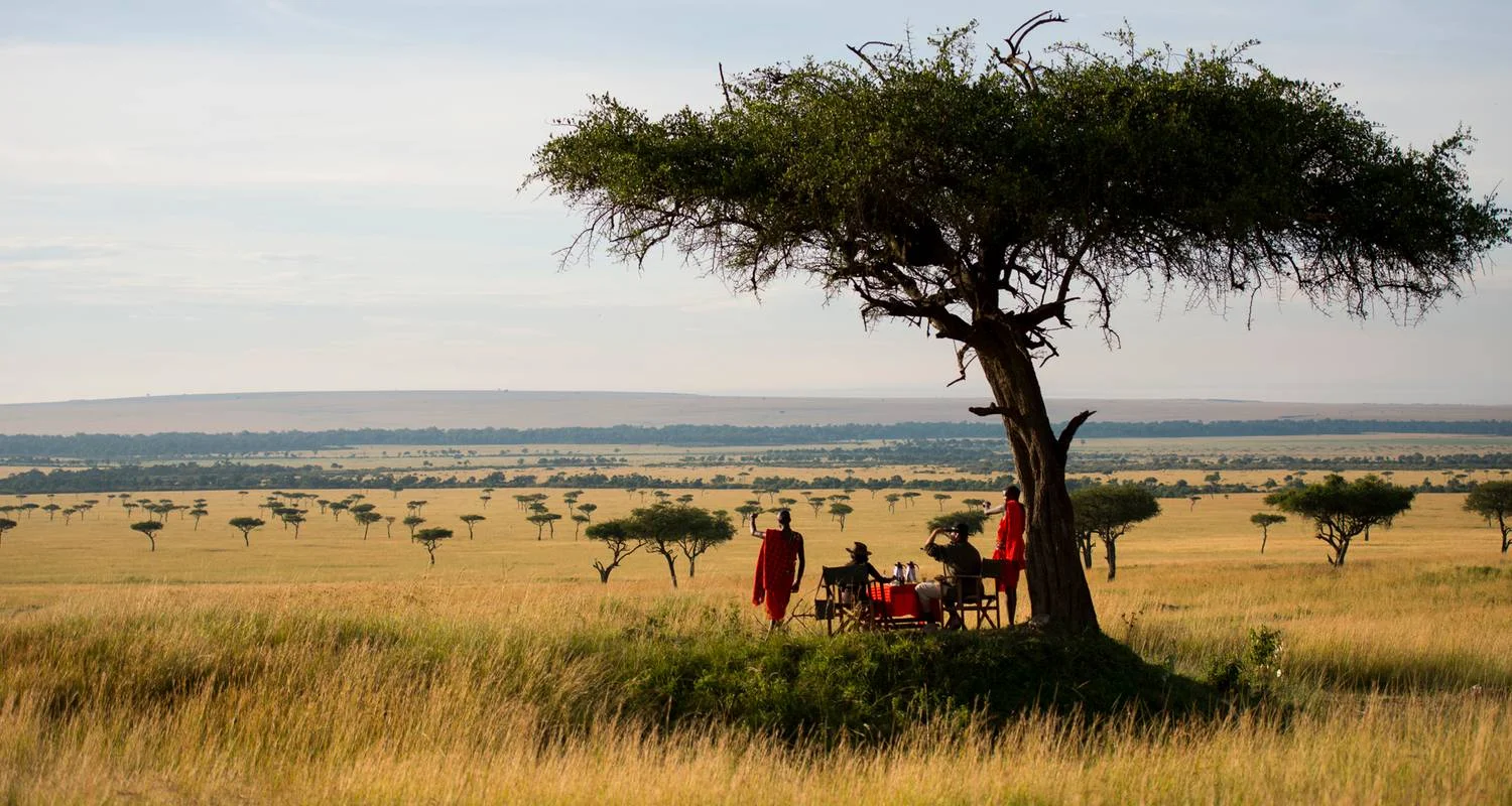 Explore 10 days Kenya Luxury range Flying Safari Holiday for 10 days with CKC Tours & Travel and discover unforgettable experiences - Photo 2