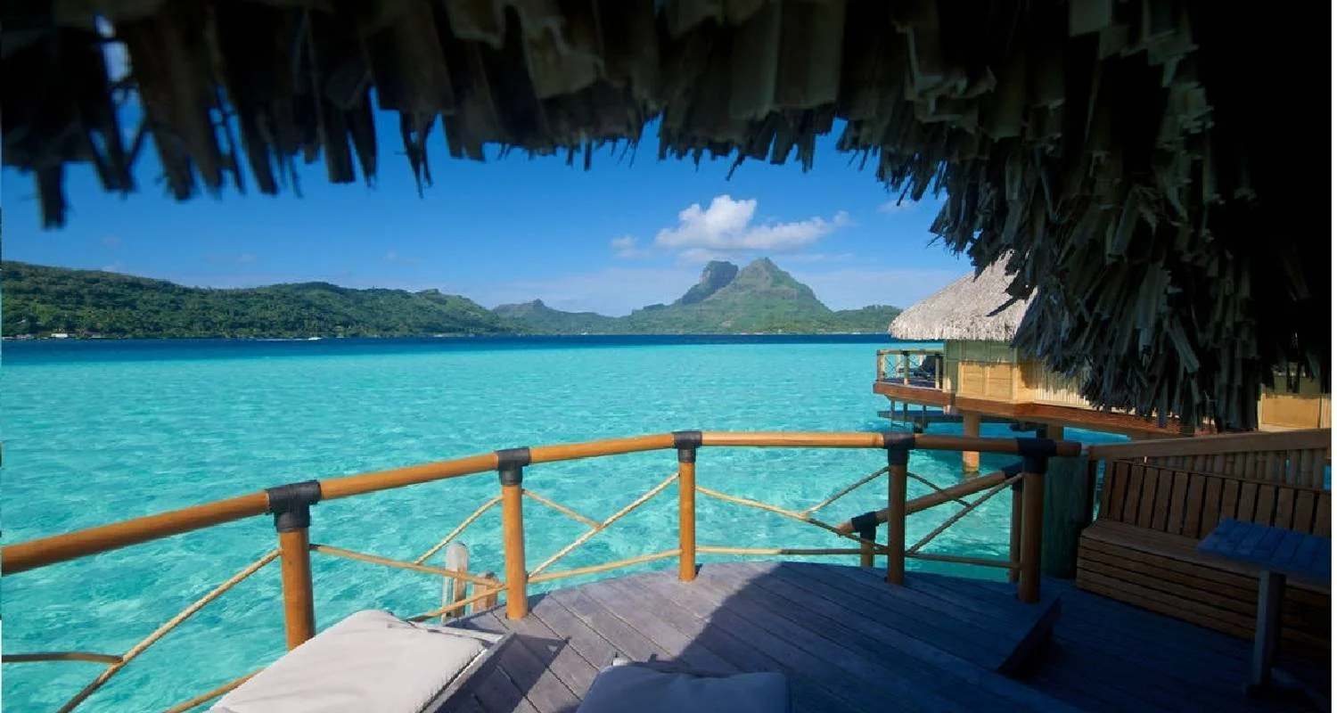 Explore 12 Days Tanzania  Luxury Safari and Zanzibar Beach Holiday 2025/2026 for 14 days with CKC Tours & Travel and discover unforgettable experiences - Photo 2