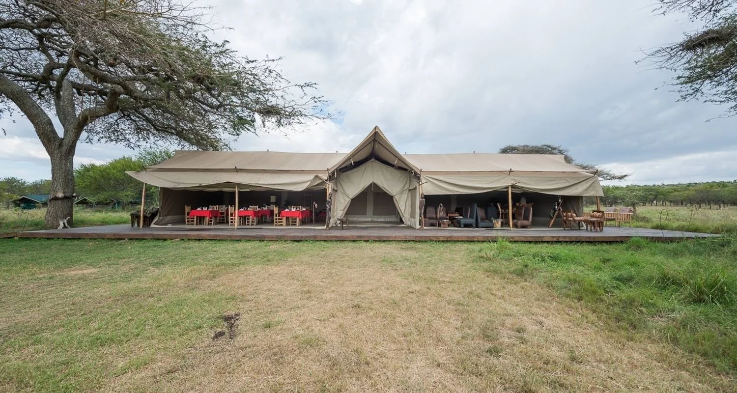 Explore 7 Days Kenya and Tanzania private  medium range driving safari for 7 days with CKC Tours & Travel and discover unforgettable experiences - Photo 2
