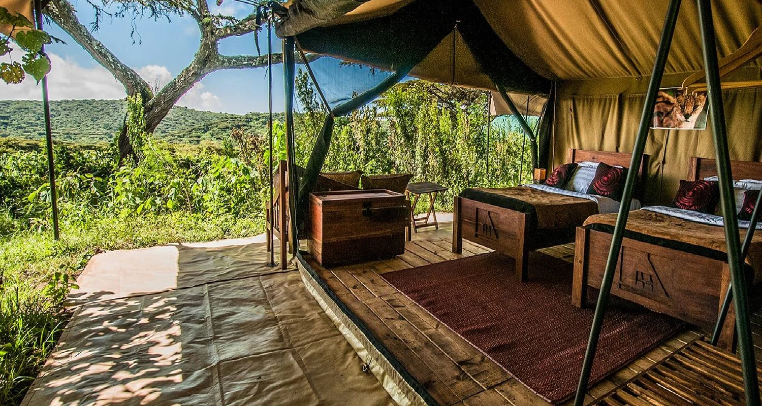 Explore 6 Days Tanzania luxury range Driving Safari 2025/2026 for 6 days with CKC Tours & Travel and discover unforgettable experiences - Photo 2