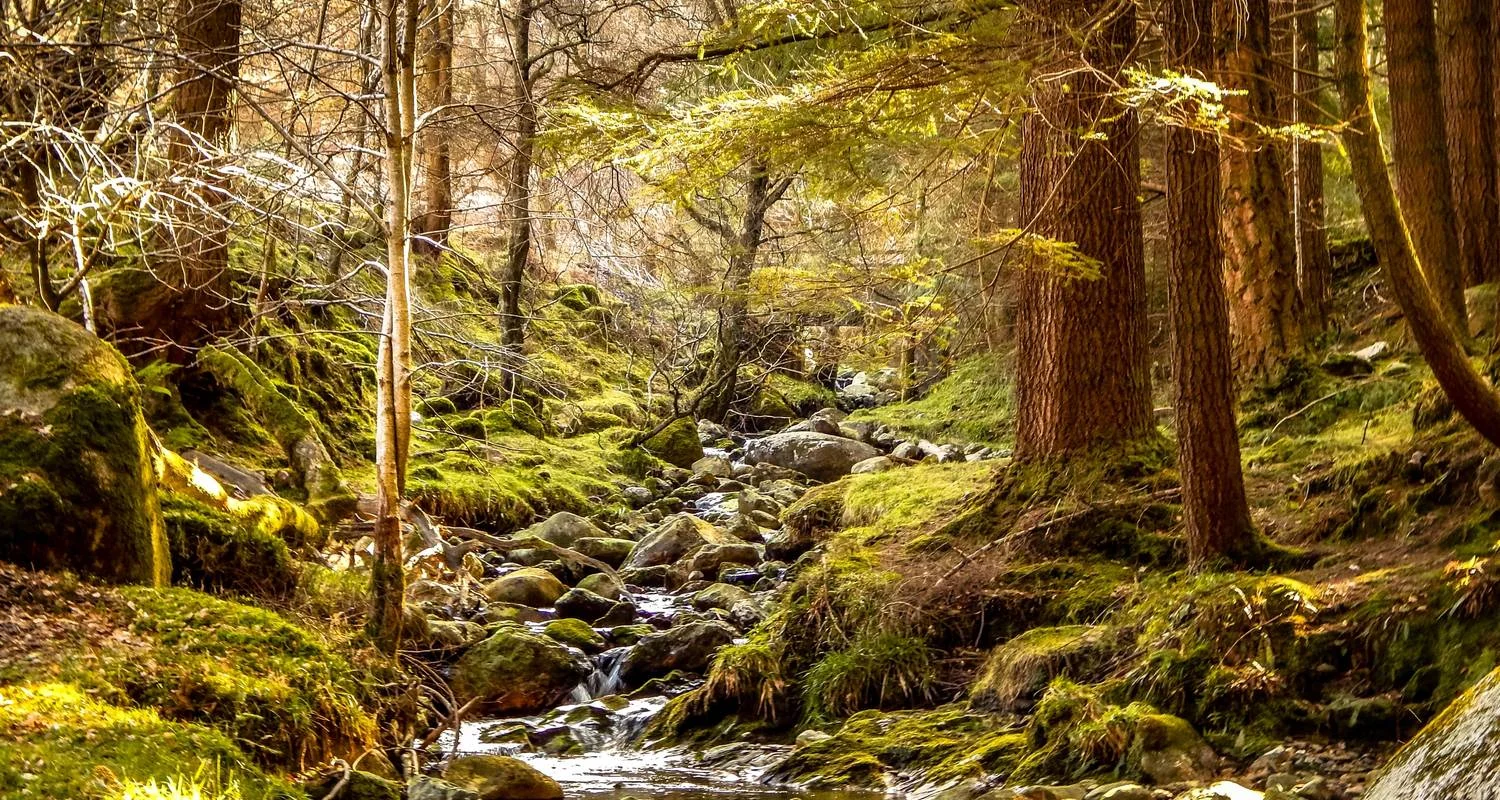 Explore Mystical Ireland - 8 Days/7 Nights for 8 days with CIE Tours and discover unforgettable experiences - Photo 2