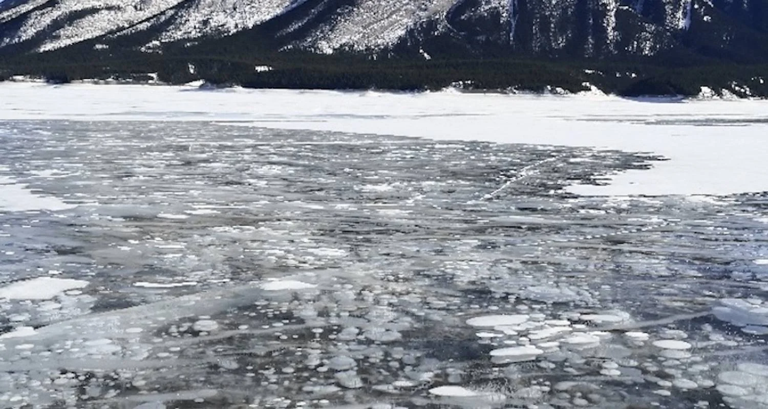 Explore Rockies Winter Fun 4-Day Tour for 4 days with Calgary Tours and discover unforgettable experiences - Photo 5