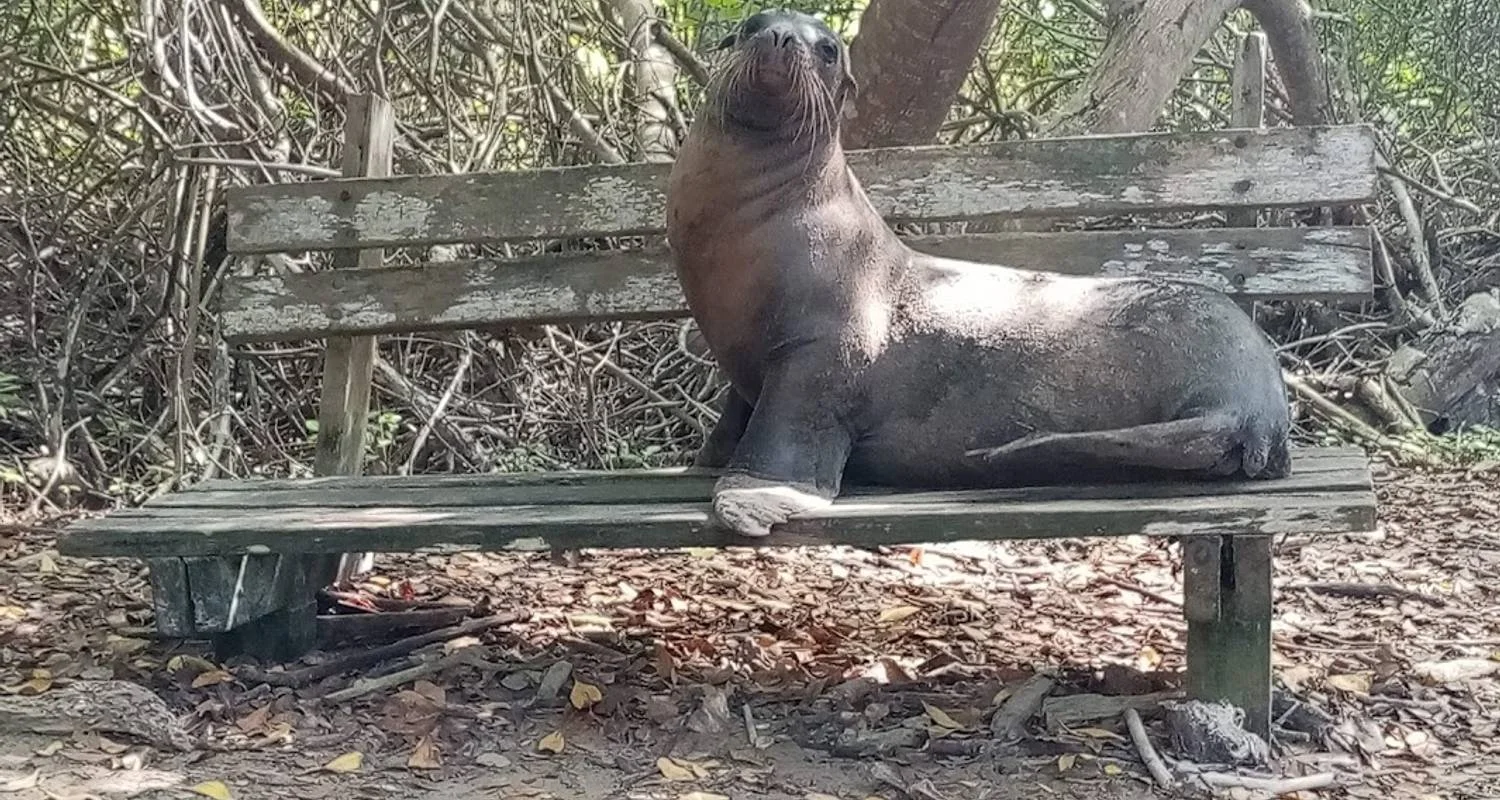 Explore 6-Day Treasures of Galapagos Private Tour for 6 days with Cami Adventures and discover unforgettable experiences - Photo 2