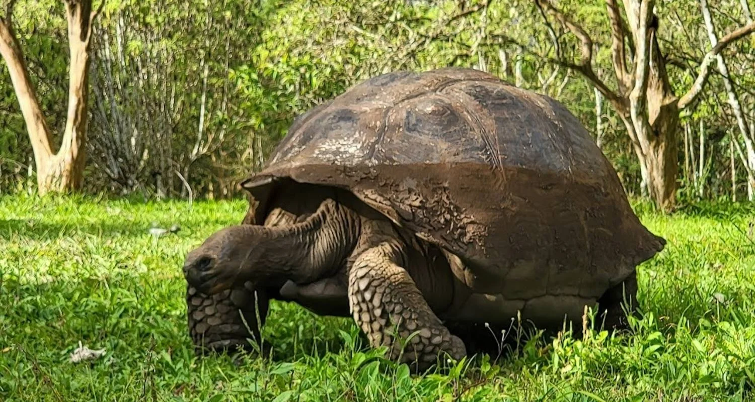 Explore 5-Day Galapagos Wildlife Expedition (Private Tour) for 5 days with Cami Adventures and discover unforgettable experiences - Photo 2