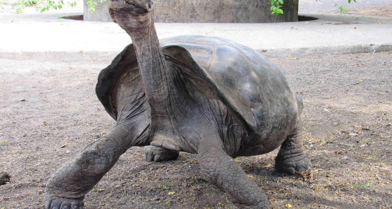 Explore 6 Days – Discover Galapagos for 6 days with Cami Adventures and discover unforgettable experiences - Photo 2