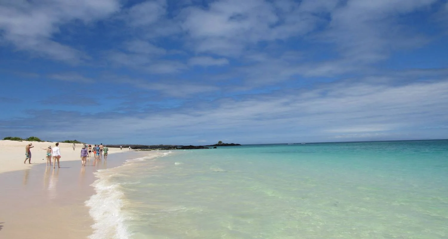Explore Galapagos an enchanted Archipielago (8 days) for 8 days with Cami Adventures and discover unforgettable experiences - Photo 2