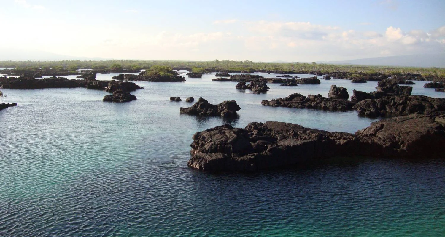 Explore Galapagos Harmony (7 Days) for 7 days with Cami Adventures and discover unforgettable experiences - Photo 2