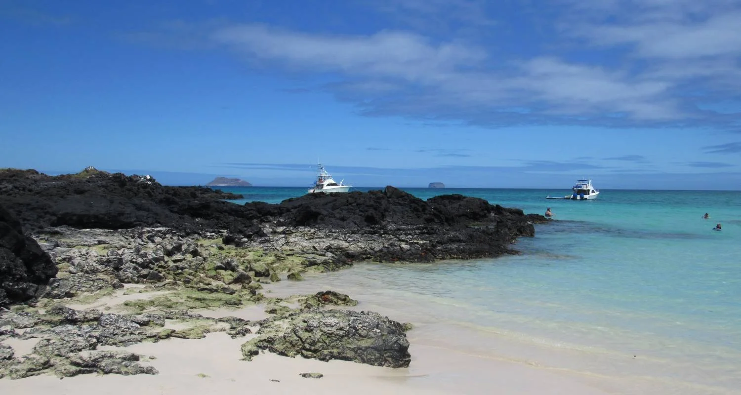 Explore Galapagos Scuba Dive - 6 Days for 6 days with Cami Adventures and discover unforgettable experiences - Photo 2