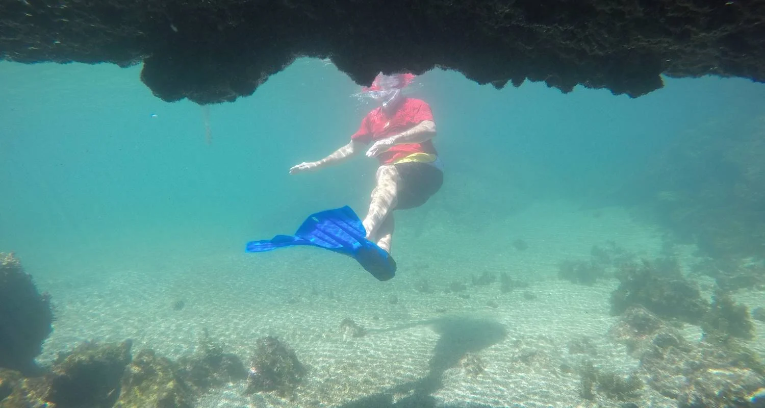 Explore Galapagos Scuba Dive - 5 Days for 5 days with Cami Adventures and discover unforgettable experiences - Photo 2