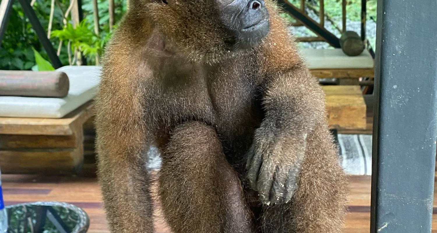 Explore Amazon Jungle - Kayak & Rafting - 6 days for 6 days with Cami Adventures and discover unforgettable experiences - Photo 2