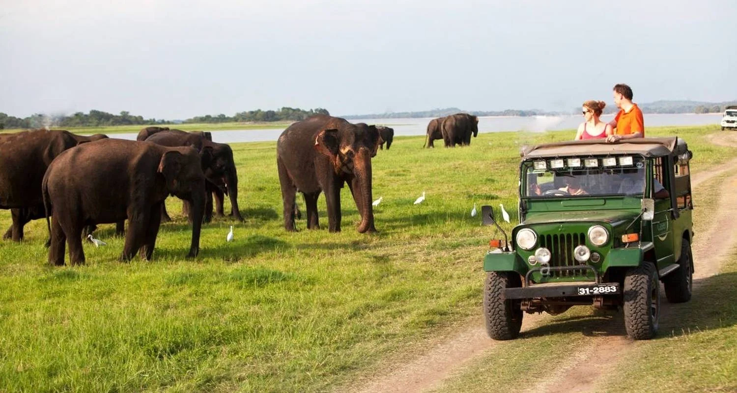 Explore Across The Best Sites Of Sri Lanka for 14 days with Capital Lanka Tours and discover unforgettable experiences - Photo 2