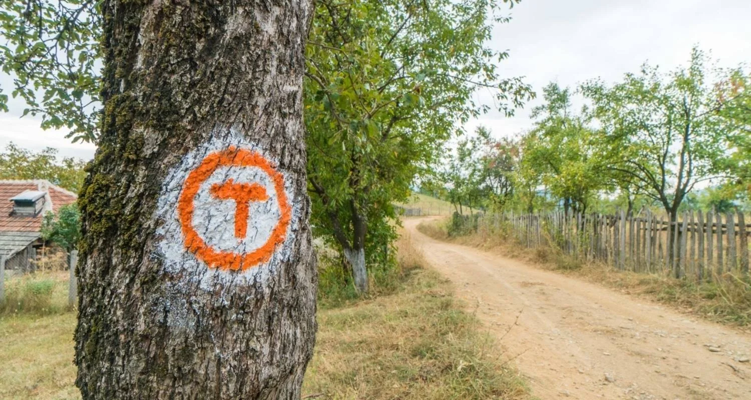 Explore Hiking on the Via Transilvanica in TERRA SAXONUM for 8 days with Carpathian Travel Center and discover unforgettable experiences - Photo 2