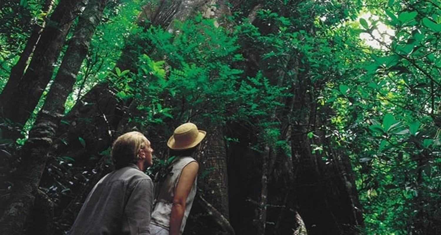 Explore Splendor of Costa Rica Package for 9 days with Central American Tours and discover unforgettable experiences - Photo 2