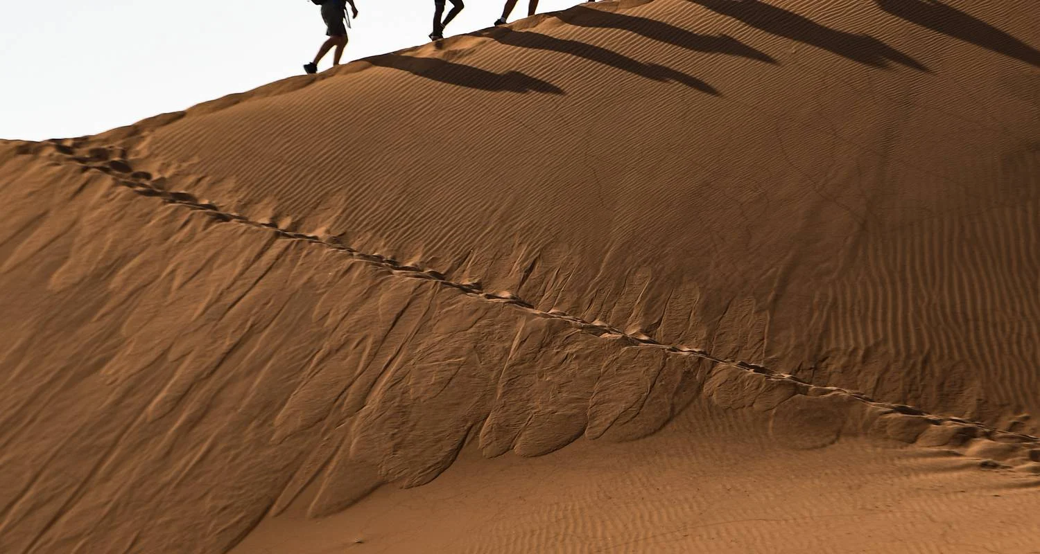 Explore 6 Day Dunes & Wildlife Accommodated Safari for 6 days with Chameleon Safaris Namibia and discover unforgettable experiences - Photo 2