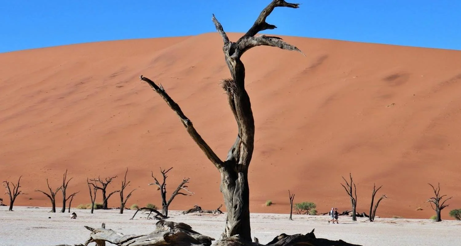 Explore 9 Day Etosha, Skeleton Coast & Sossusvlei Camping & Accommodated Safari for 9 days with Chameleon Safaris Namibia and discover unforgettable experiences - Photo 2