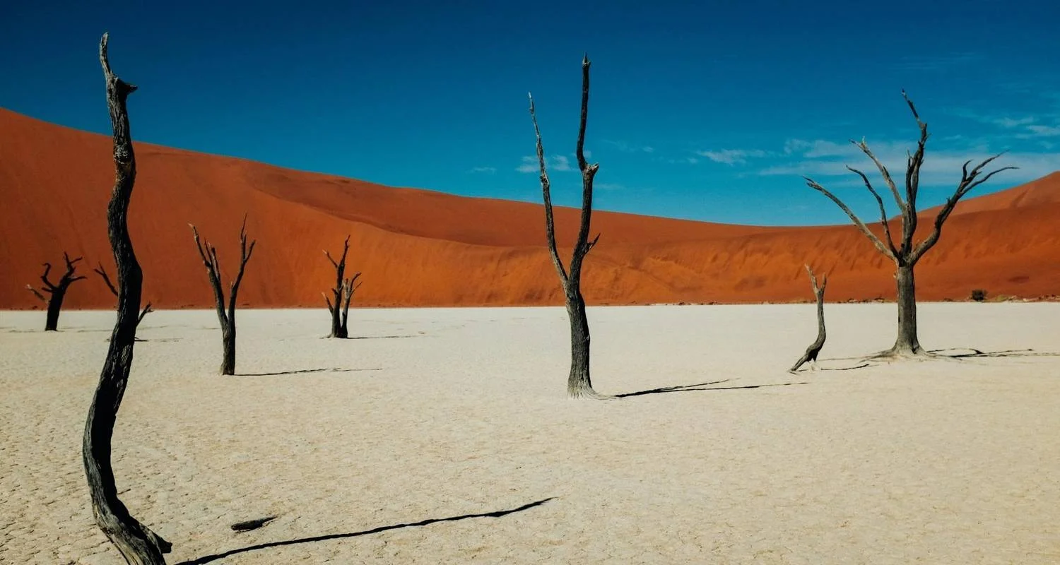 Explore 3 Day Sossusvlei Budget Safari (Windhoek-Swakop) for 3 days with Chameleon Safaris Namibia and discover unforgettable experiences - Photo 2