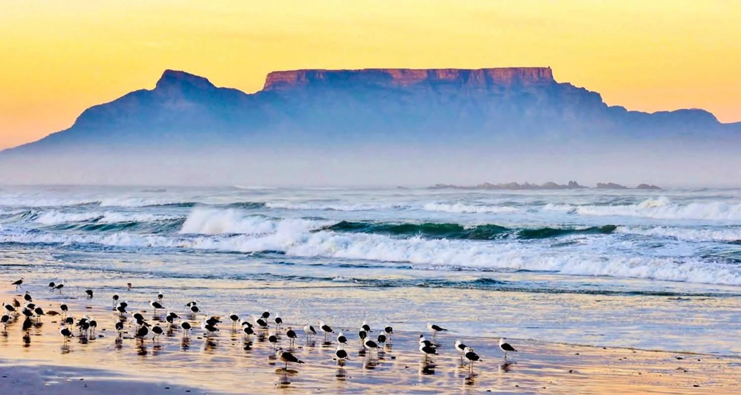 Explore Pinotage - 17 days connoisseur trip for 17 days with Chamaeleon and discover unforgettable experiences - Photo 2