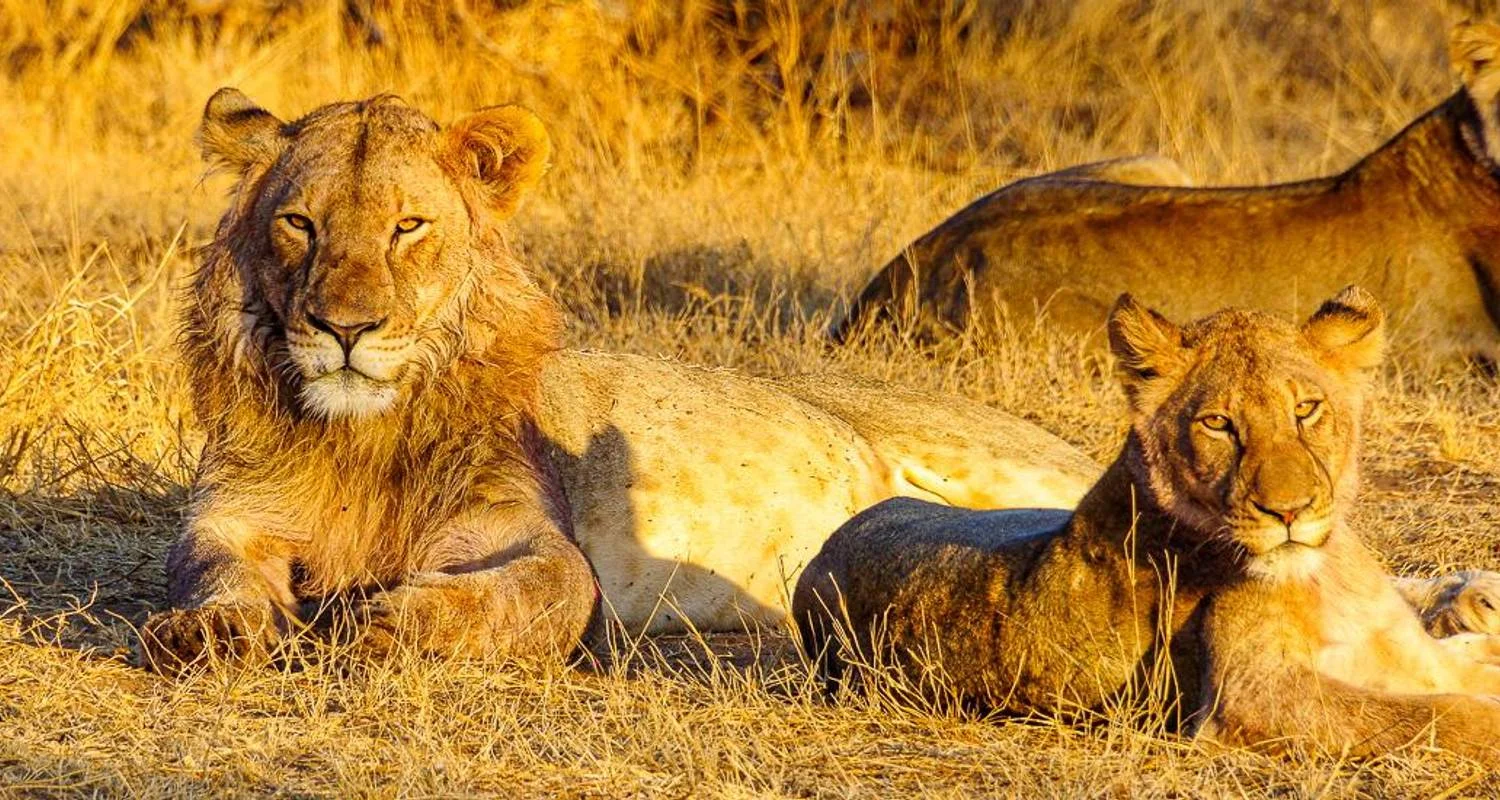 Explore Tons of goosebumps - 18 days of adventure travel for 18 days with Chamaeleon and discover unforgettable experiences - Photo 2