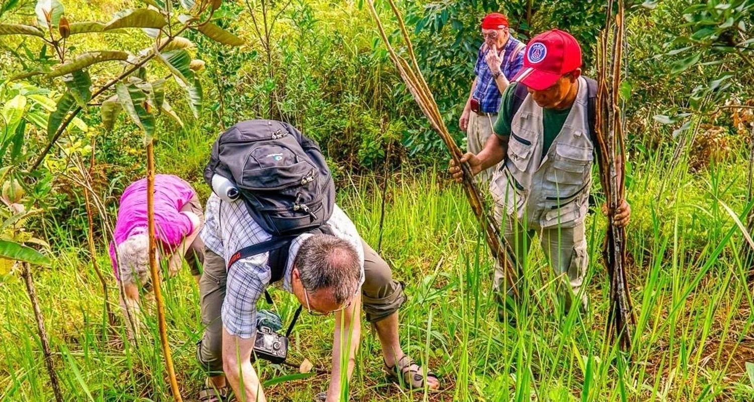 Explore Isalo Adventure for 17 days with Chamaeleon and discover unforgettable experiences - Photo 2