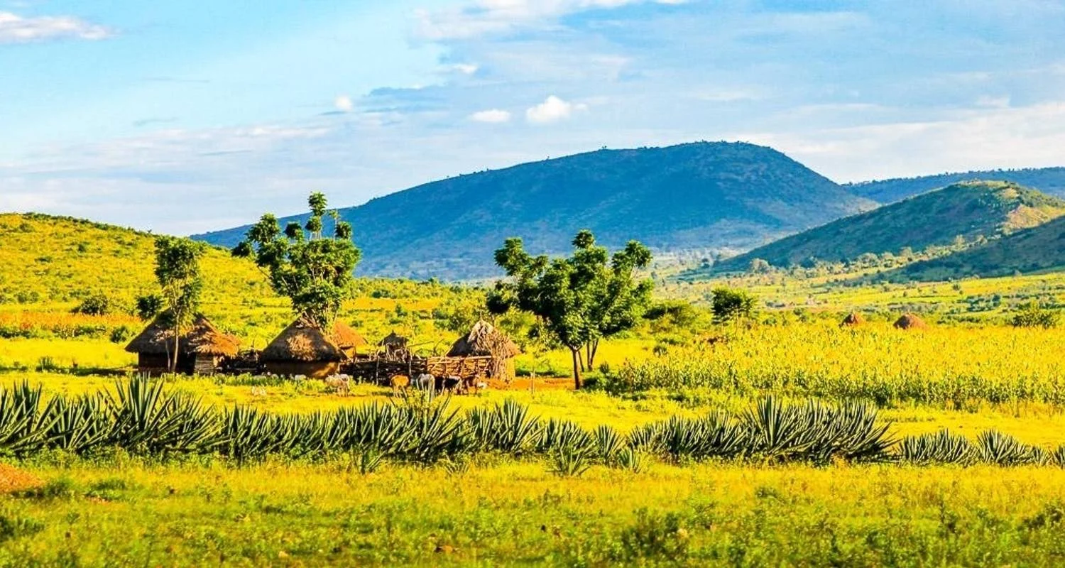 Explore Masai Mara Adventure for 15 days with Chamaeleon and discover unforgettable experiences - Photo 2
