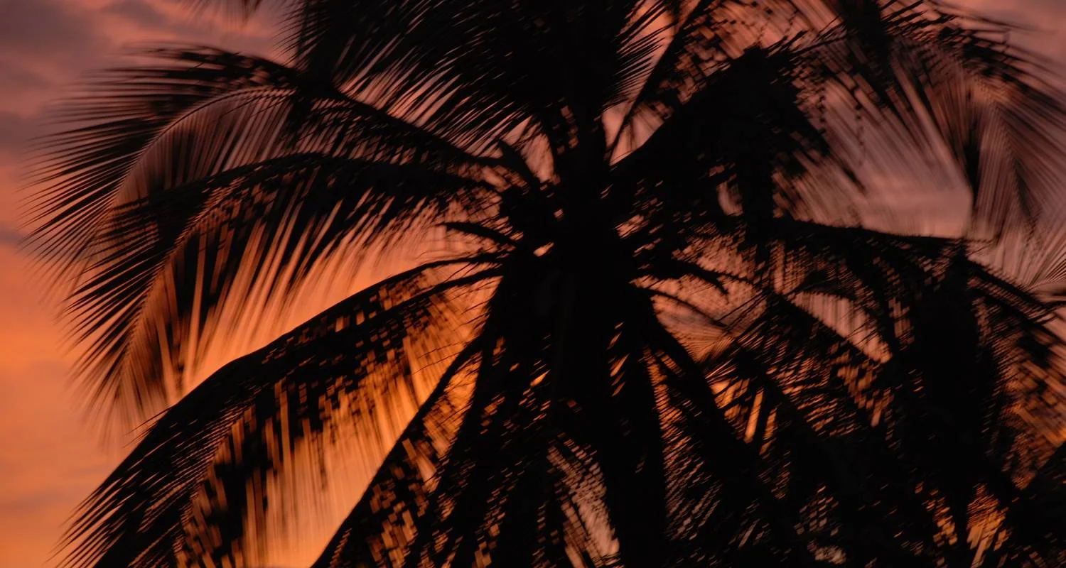 Explore 4 days Lost City Trek starting in Santa Marta for 6 days with Class Adventure Travel  and discover unforgettable experiences - Photo 2