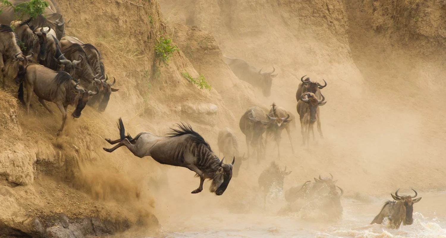 Explore 8 Days Classic Highlights of Kenya for 8 days with Classic Journeys Africa Ltd and discover unforgettable experiences - Photo 2