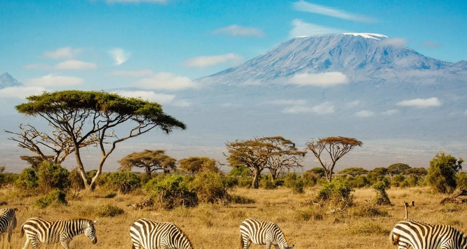Explore 6 Days Affordable Classic Kenya Private Safari Amboseli, Naivasha & Mara for 6 days with Classic Journeys Africa Ltd and discover unforgettable experiences - Photo 2